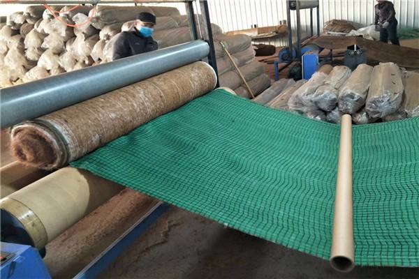 影響環保生態毯力學性能的主要因素是？